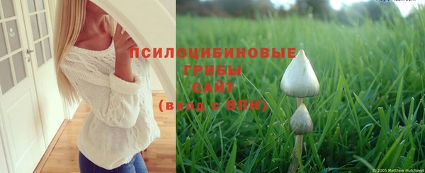 ПСИЛОЦИБИНОВЫЕ ГРИБЫ Балабаново