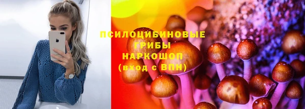 прущие крисы Баксан