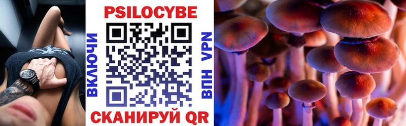 хочу наркоту  Барнаул  Галлюциногенные грибы Psilocybine cubensis 